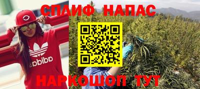 прущие крисы Краснознаменск