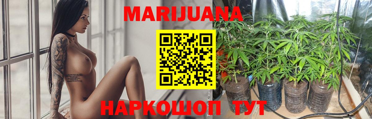 Бошки Шишки конопля Александров